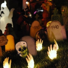 Ready for Halloween??